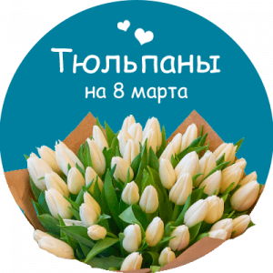 Купить тюльпаны в Чкаловске